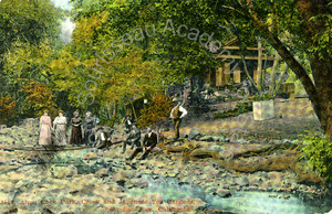 Group by Penitencia Creek near Japanese tea gardens
