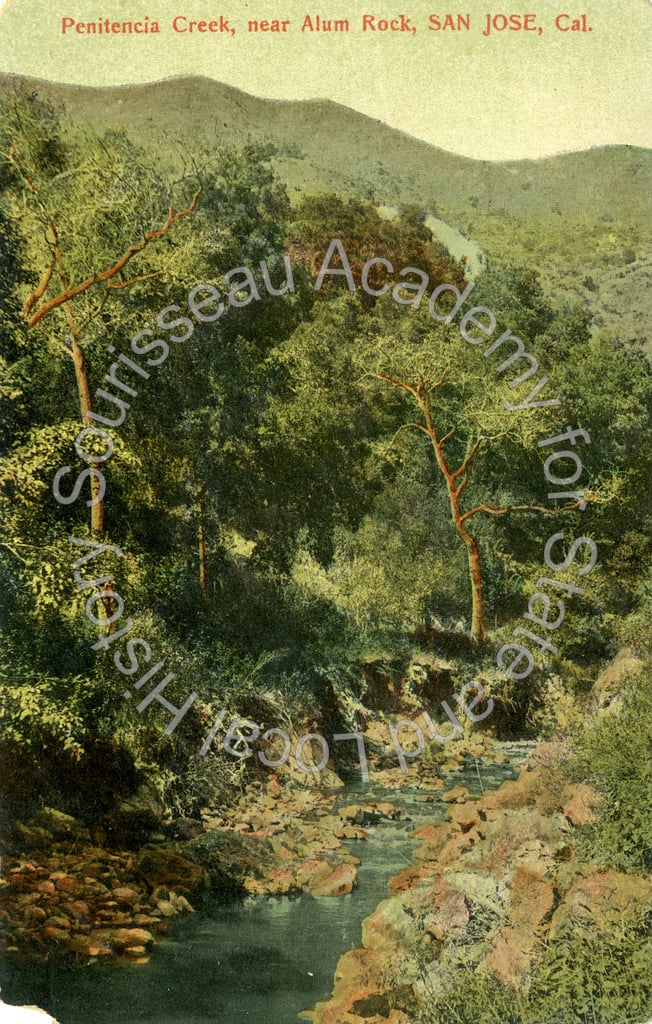 Penitencia Creek scene, Alum Rock Park