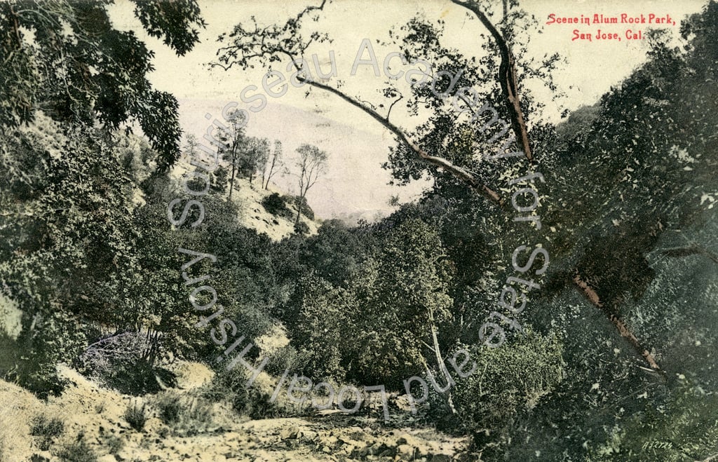 Penitencia Creek scene, Alum Rock Park