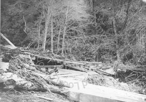 Alum Rock Park Line Trestle Destroyed by Flooding