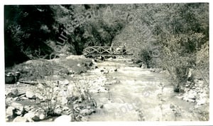 Bridge over Penitencia Creek, Alum Rock Park