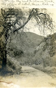 Road and landscape, Alum Rock Park