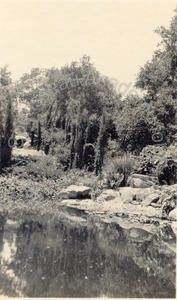 Image of George O. Knapp Estate, near grotto