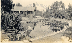 Image of Lily pond at the Arthur Letts Estate, Hollywood