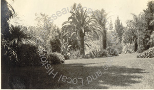 Image of Dr. Doremus' Estate, Santa Barbara