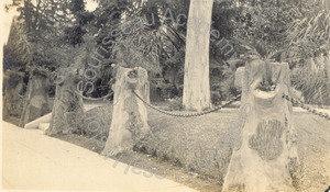 Image of Imitation stumps of cement, Los Angeles