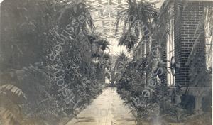 Image of Interior of green house, Eastlake Park, Los Angeles