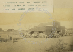 Image of Crandall and Rice dryer and packing house