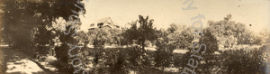 Image of Unidentified orchard home