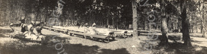 Image of Picnic area in the park at Pebble Beach