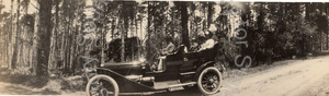 Image of Auto touring through a forest, possibly on 17-Mile Drive