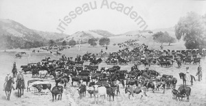 Image of Photograph of canvas "Rodeo on the Donne Ranch," by Andrew P. Hill