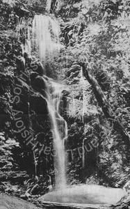 Image of Berry Creek Falls