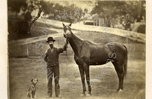Image of Unidentified man holding the bridle of a horse