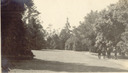 Image of Shadows on Lawn, Jennie Crocker Whitman Estate, Burlingame