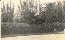 Image of Tennis backstop covered with evergreen grape, Clinton B. Hale Residence