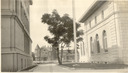Image of Berkeley P.O. Grounds, May 1916; Gilkey just given landscape job