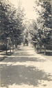 Image of Looking toward rose garden, George A. Newhall Estate, Burlingame