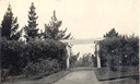 Image of Well situated and planted, Bowman H. McCalla Estate, Santa Barbara