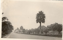Image of Occidental Boulevard, Los Angeles, Poor Parking, Planting