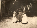 Image of Polhemus family toddlers in an orchard