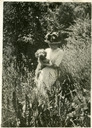 Image of Florence Mabel Gates holding a pet dog