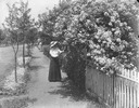 Image of Florence Hill on side walk near fence with roses