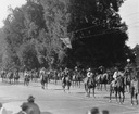 Image of Mounted riders in the Rose Parade