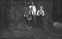 Image of Andrew P. Hill family in Big Basin