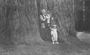 Image of Florence Hill and grandchildren at Big Basin