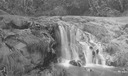Image of Woodwardia Falls -- all silted up now
