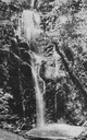 Image of Berry Creek Falls