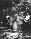 Image of Rededication of the Andrew P. Hill fountain in the Big Basin Redwoods State Park